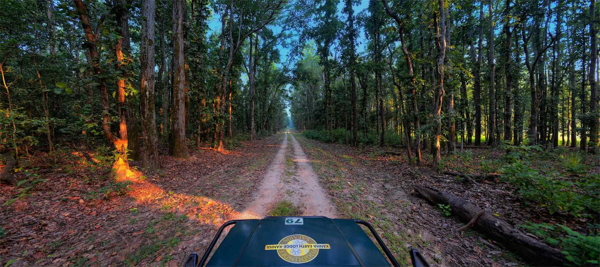 KANHA — THE SAL FOREST CHRONICLES
