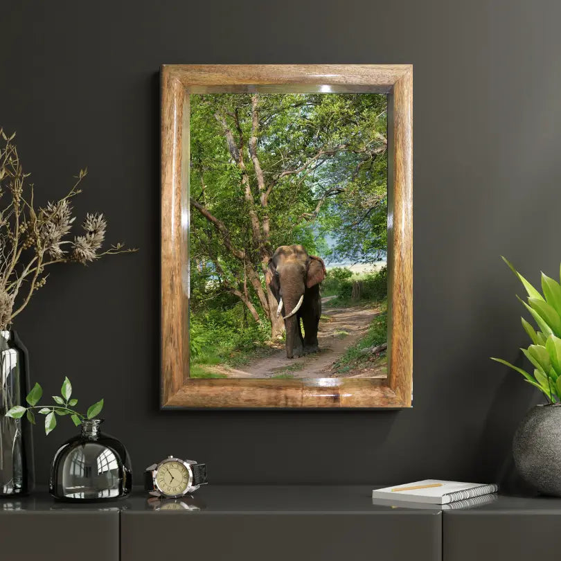 Through the Canopy — Elephant, Fine Art Photography | Limited Edition
