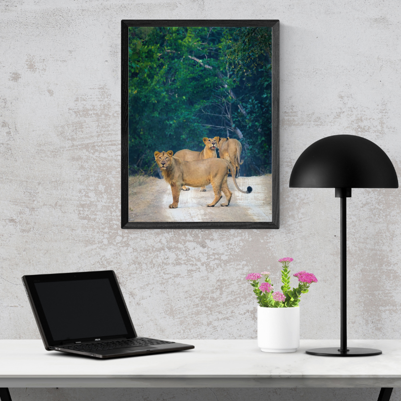 Sentinels of the Jungle – Lion Pride Fine Art Photography