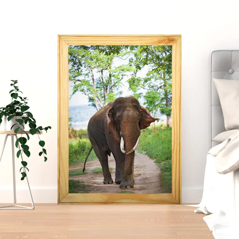 The Return — Elephant, Fine Art Photography | Limited Edition