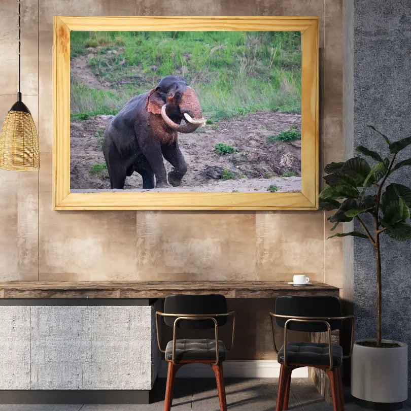 The Gaj — Elephant, Fine Art Photography | Limited Edition