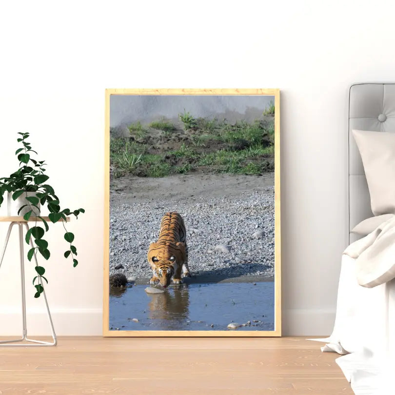 Let Me Take Rest — Tiger, Fine Art Photography | Limited Edition