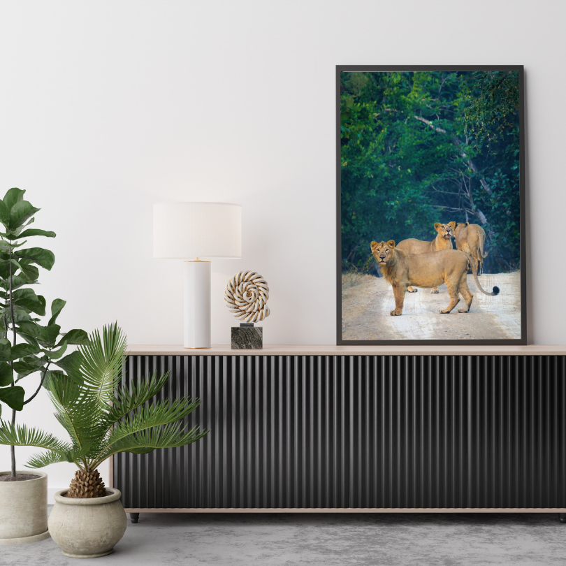 Sentinels of the Jungle – Lion Pride Fine Art Photography