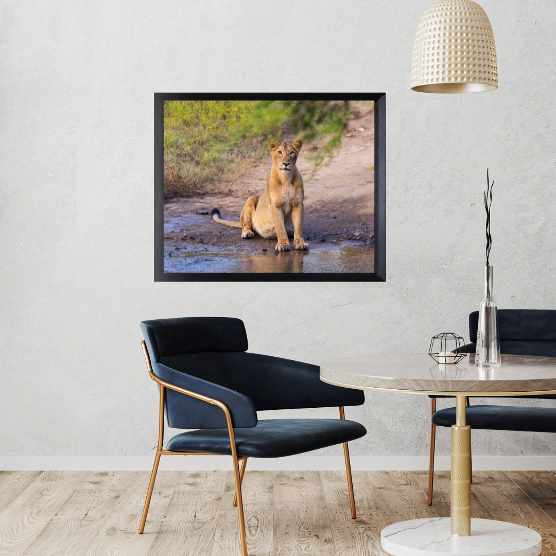 Guardian of the Trail – Lioness Wildlife Art Print