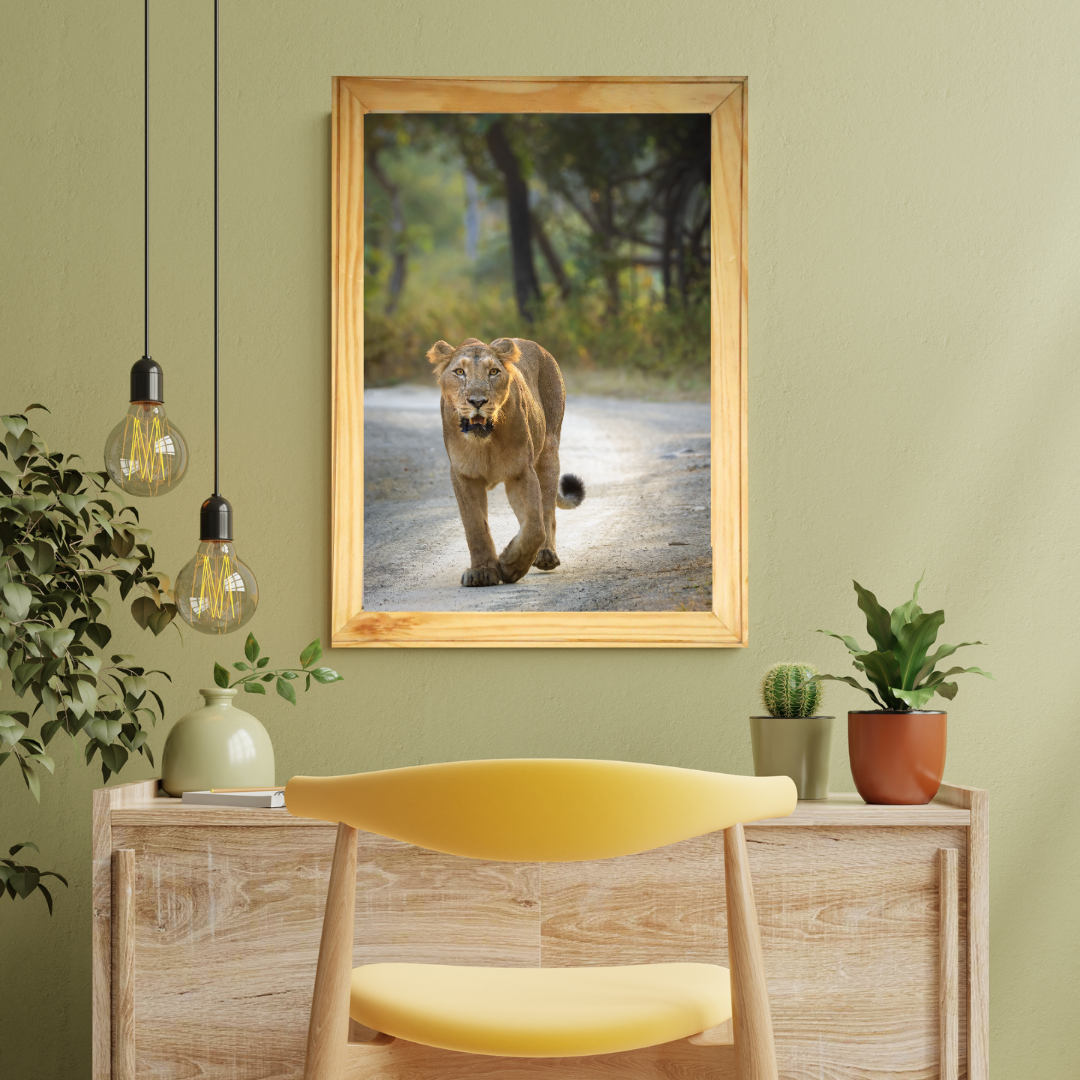 Fearless Lioness Walking – Premium Wildlife Fine Art