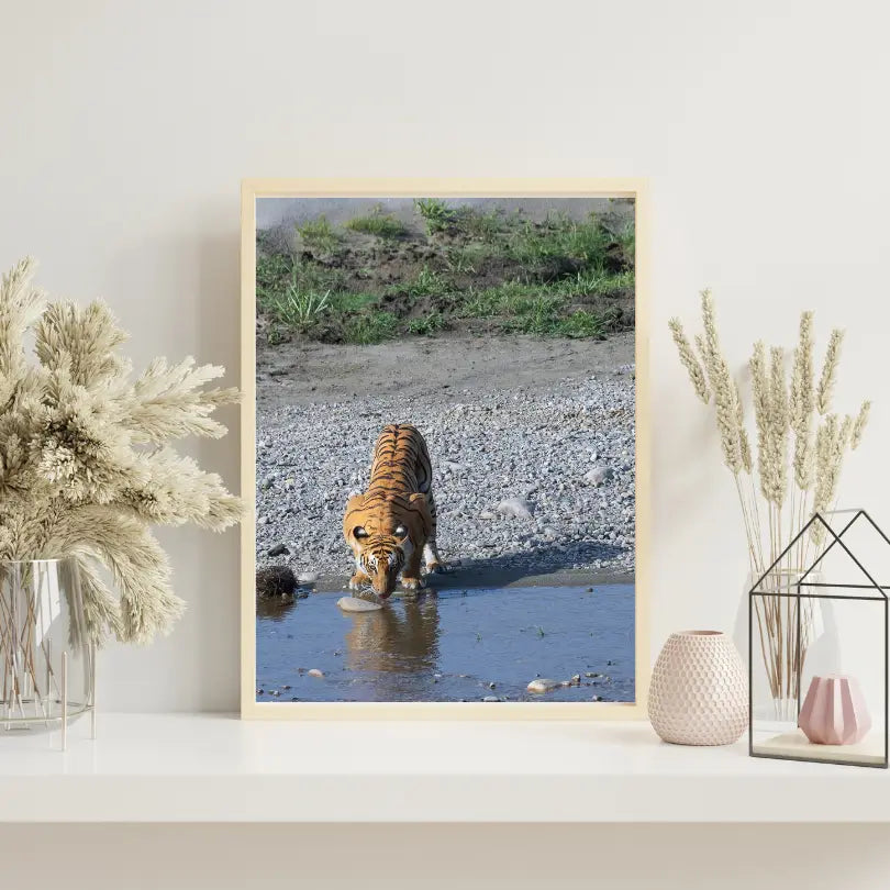 Let Me Take Rest — Tiger, Fine Art Photography | Limited Edition