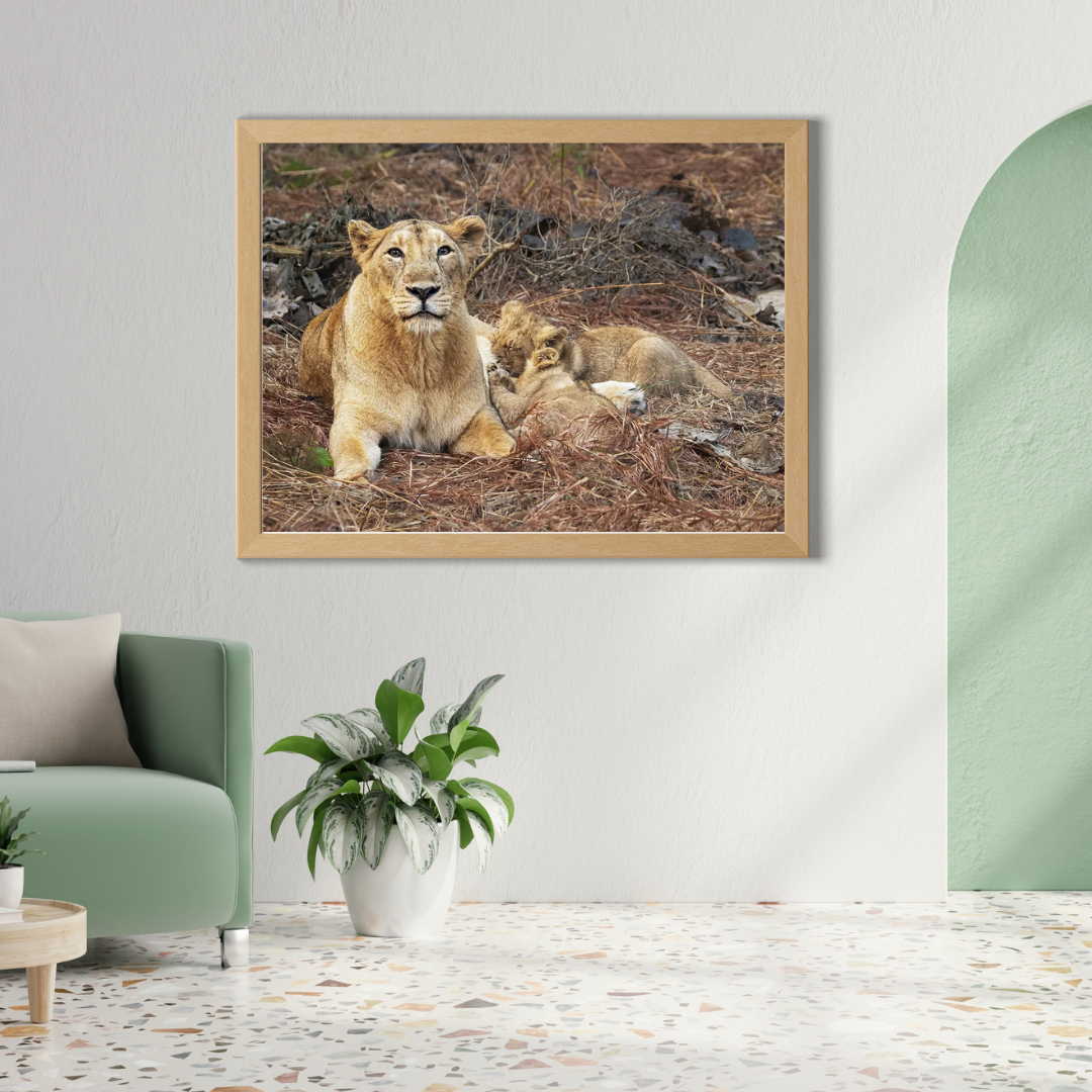 The Protectors of Gir – Lioness and Cubs Wildlife Artwork