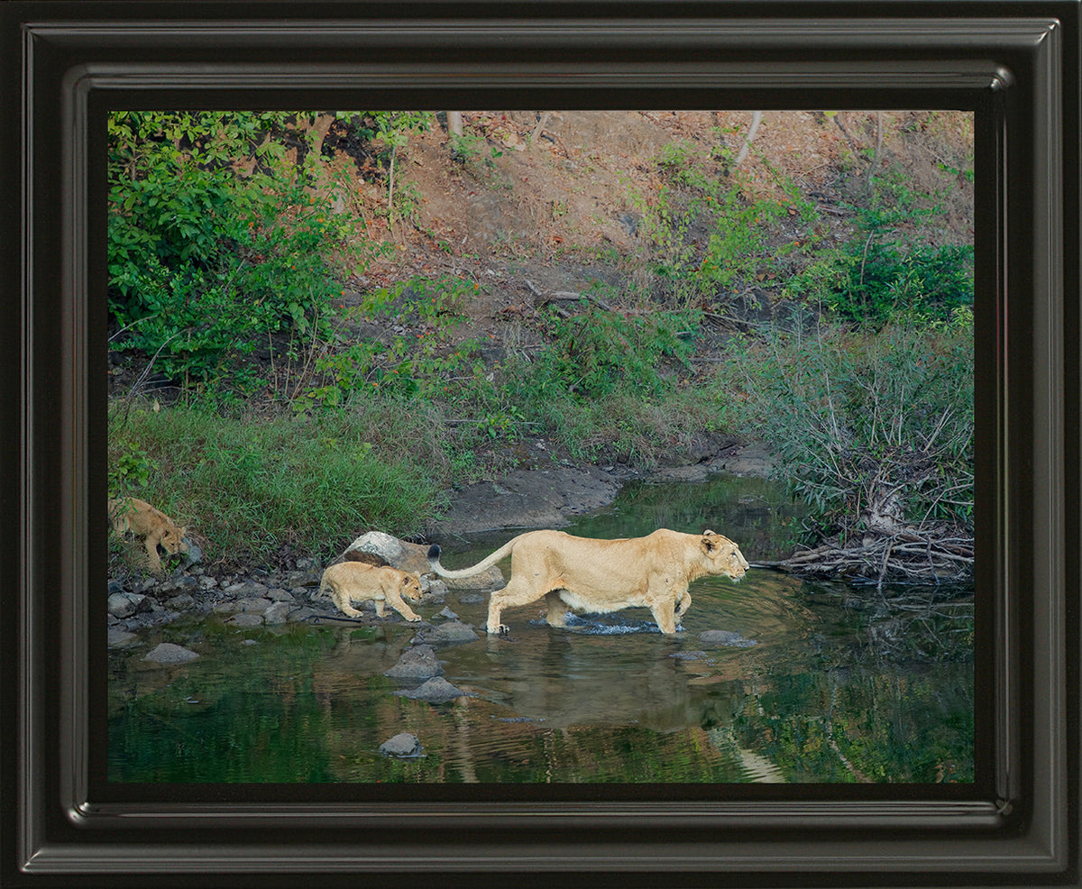 A River Lesson – The Journey of Survival