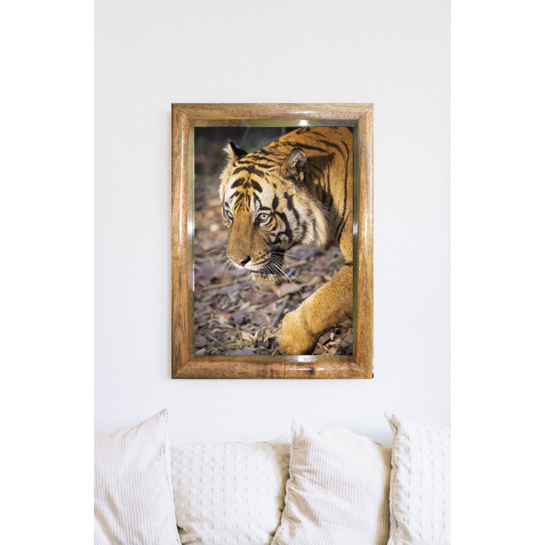 The Rival's Glare — Tiger Cubs, Fine Art Photography | Limited Edition