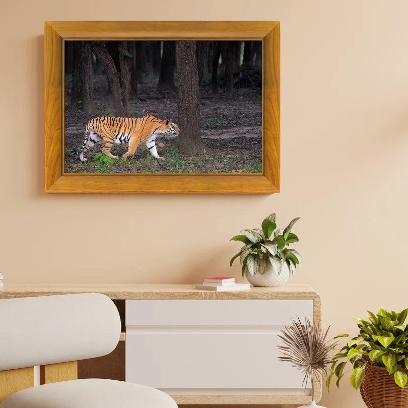 The Huntress of Kanha — Tiger, Fine Art Photography | Limited Edition
