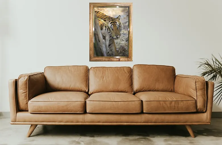 Tiger's Gaze — Tiger, Fine Art Photography | Limited Edition