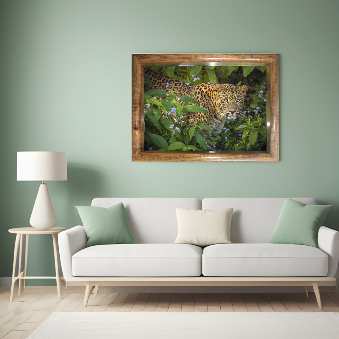 Eye to Eye with the Phantom — Leopard, Fine Art Photography | Limited Edition