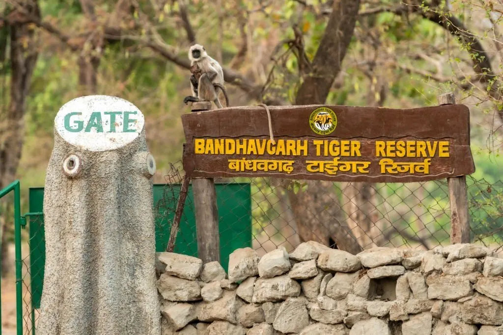 BANDHAVGARH — REALM OF THE TIGER KING
