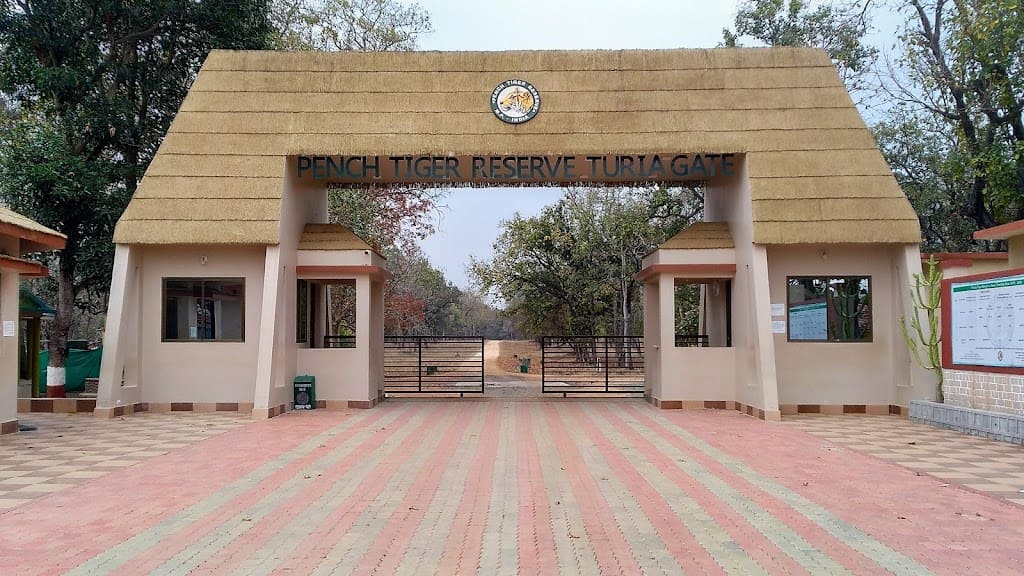 PENCH — THE ORIGINAL JUNGLE BOOK