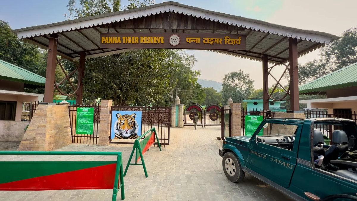 PANNA — THE KEN'S QUIET RETURN
