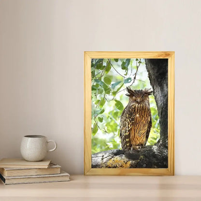 Winking Owl - Kanha National park Framed Owl Bird Photograph