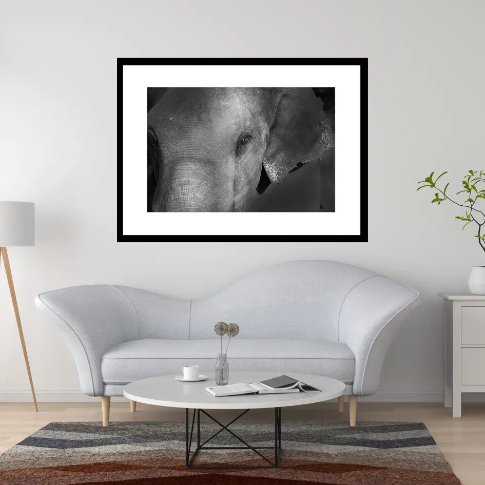 Grace in the Shadows — Elephant, Fine Art Photography | Limited Edition