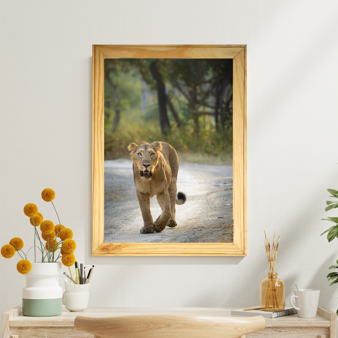 Fearless Lioness Walking – Premium Wildlife Fine Art
