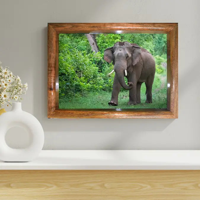 The Monarch of Corbett - Photo Art of Elephant