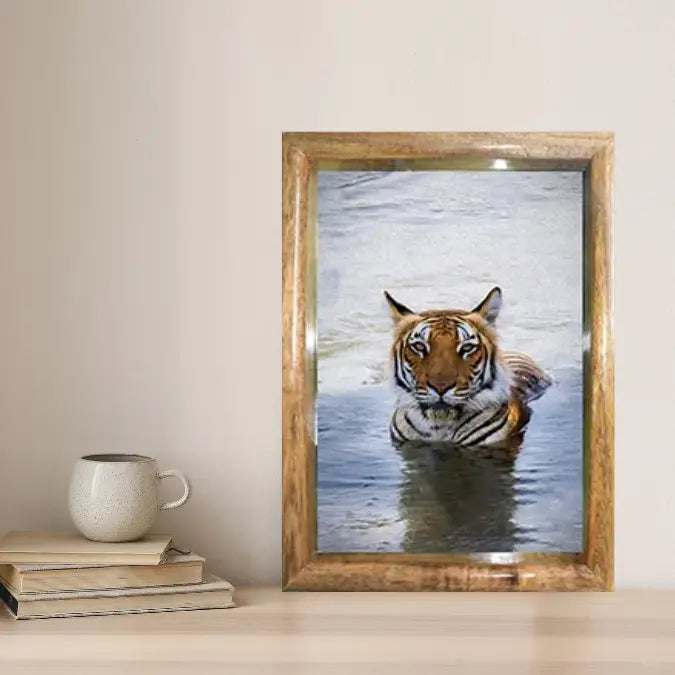 Royal Bengal Tiger in Water — Tiger, Fine Art Photography | Limited Edition