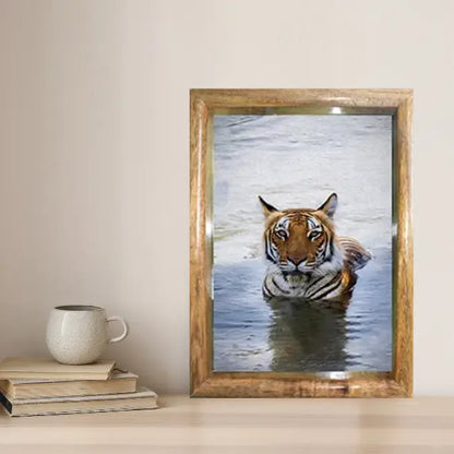 Royal Bengal Tiger in Water – Premium Wildlife Fine Art Print