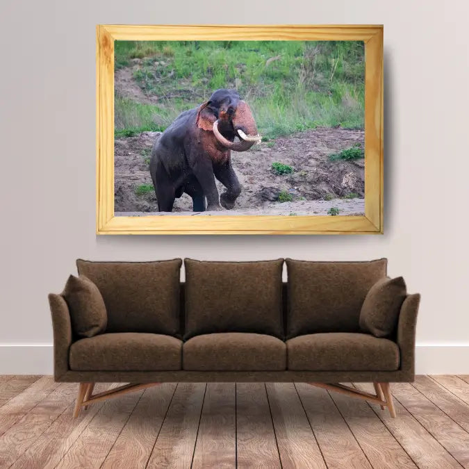 The Gaj — Elephant, Fine Art Photography | Limited Edition