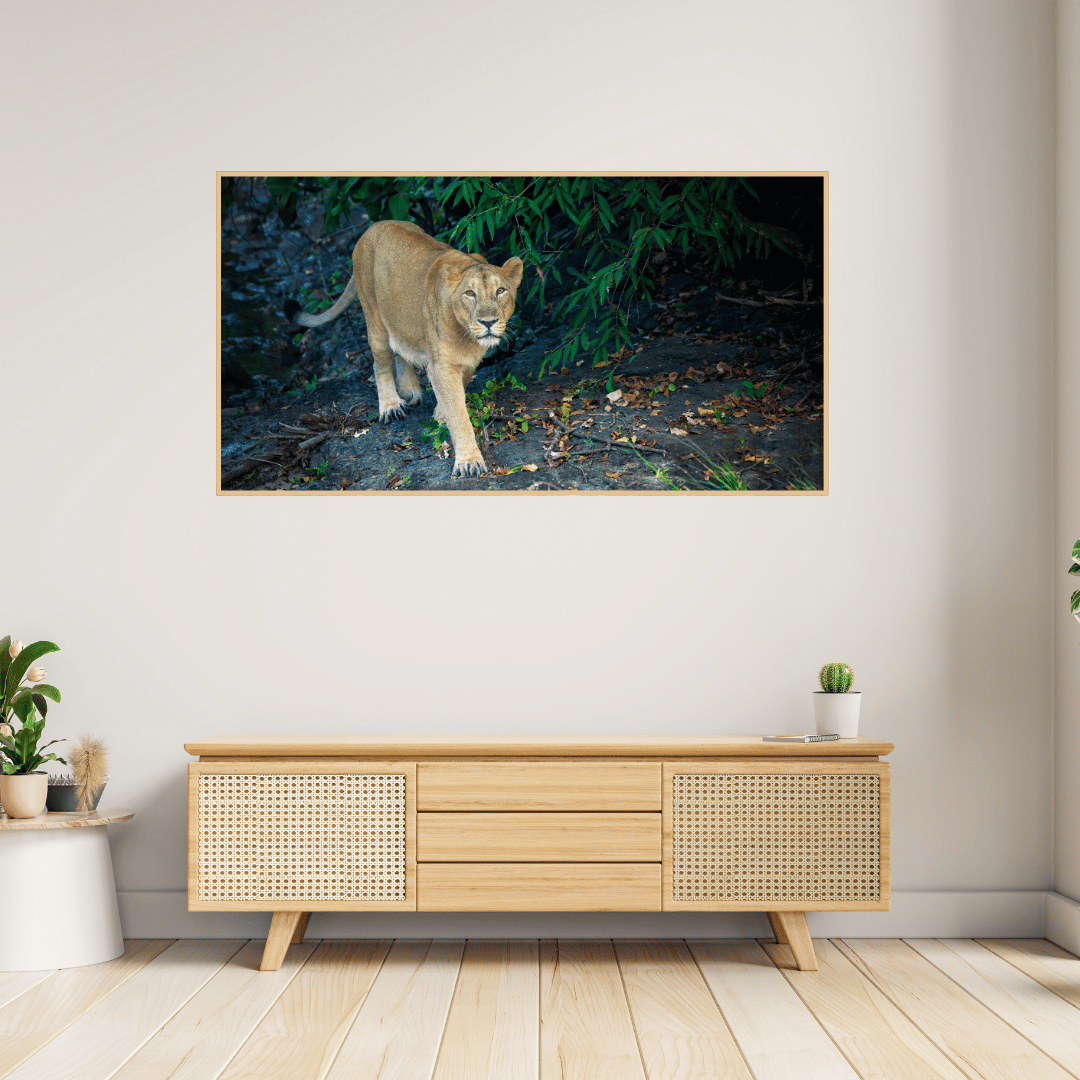 The Watchful Mother – Asiatic Lioness, Wooden Photo Art | Limited Edition Wildlife Print