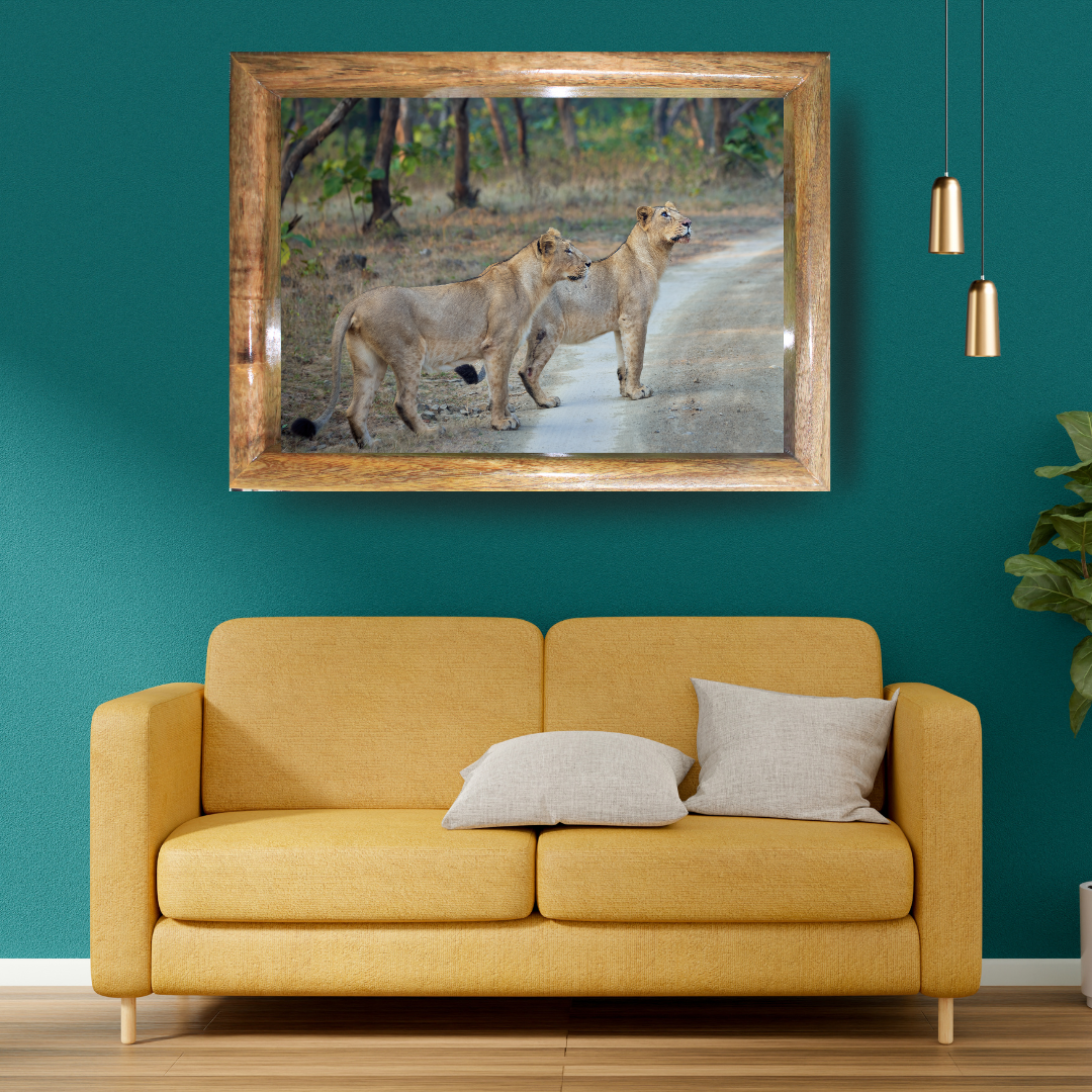 Sisters of the Wild – Lionesses on the Forest Trail | Fine Art Wildlife Print