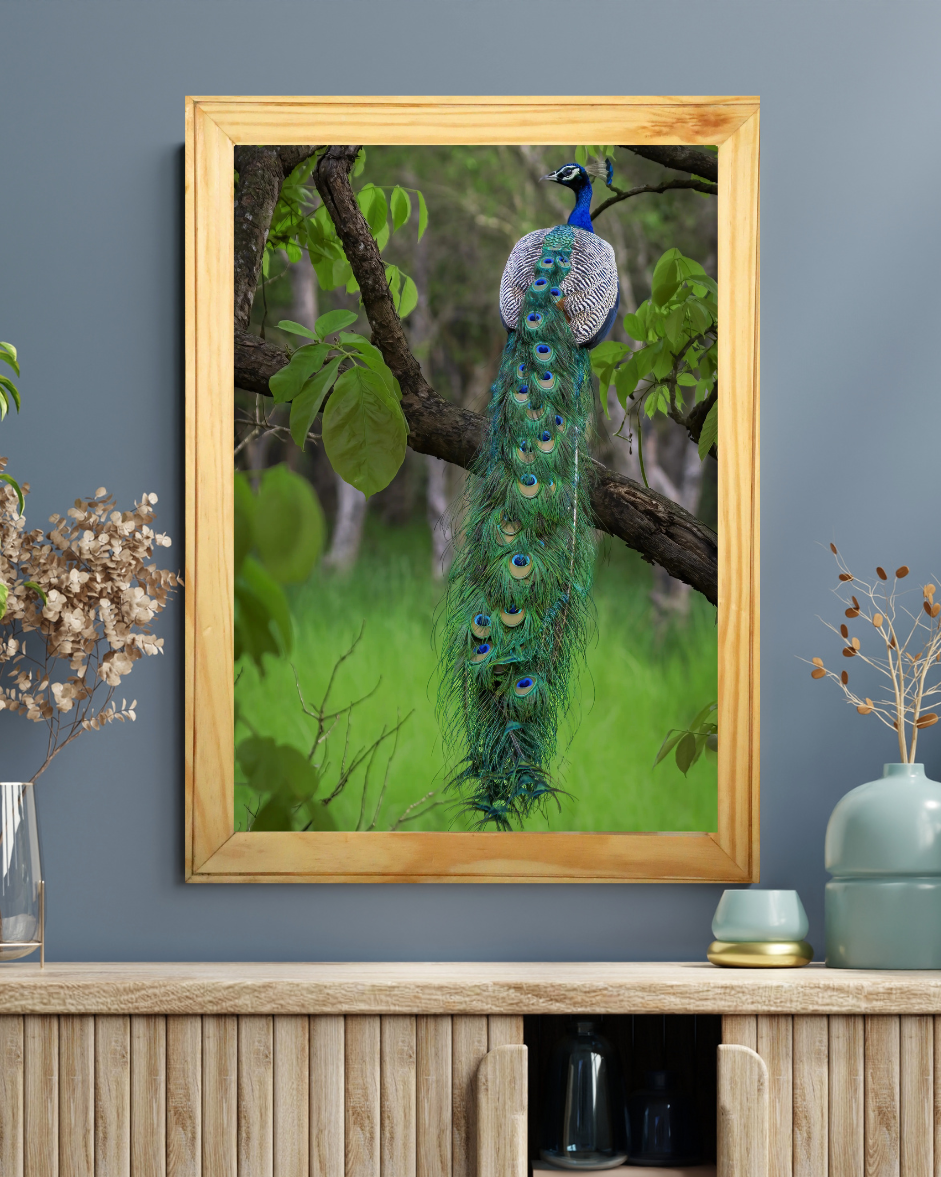 Emerald Cascade — Fine Art Peacock Photography | Limited Edition Archival Print, India