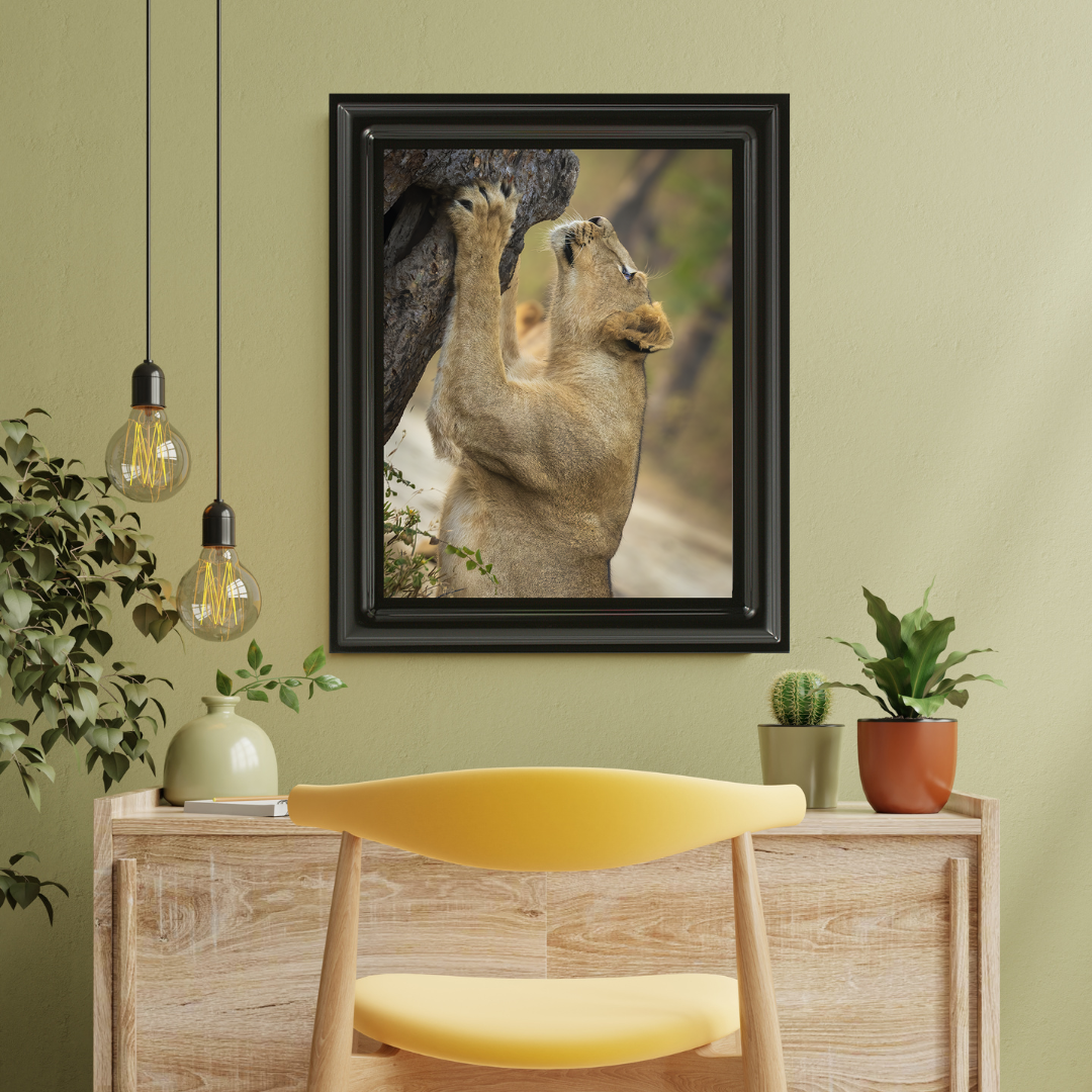 Reaching for the Wild – Lioness Fine Art Wildlife Photography Print
