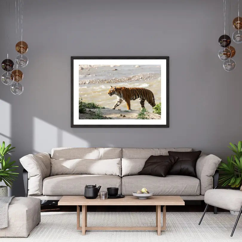 Graceful Tiger Crossing Jungle - Wooden Wildlife Photo Art - Wooden Wildlife Photo Art