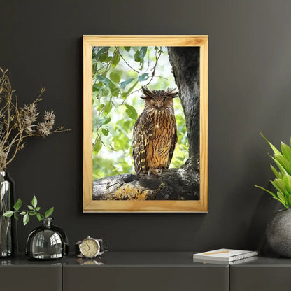 Winking Owl - Kanha National park Framed Owl Bird Photograph
