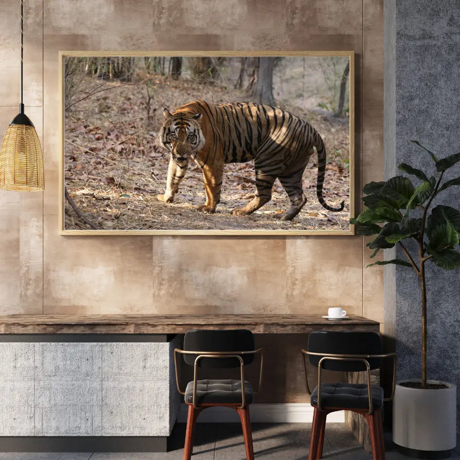 Tiger Securing Its Territory — Tiger, Fine Art Photography | Limited Edition