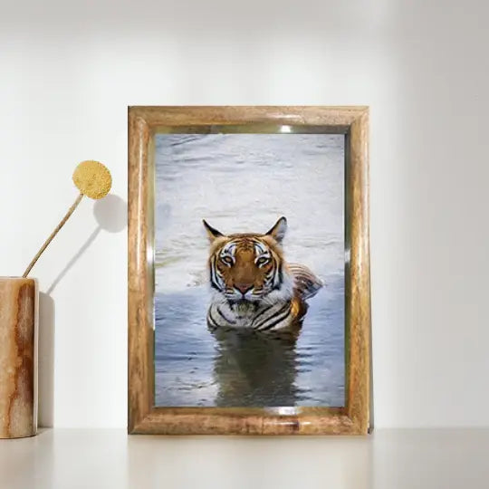 Royal Bengal Tiger in Water — Tiger, Fine Art Photography | Limited Edition