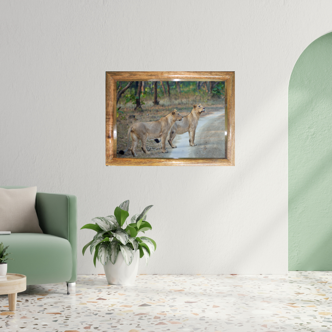Sisters of the Wild – Lionesses on the Forest Trail | Fine Art Wildlife Print