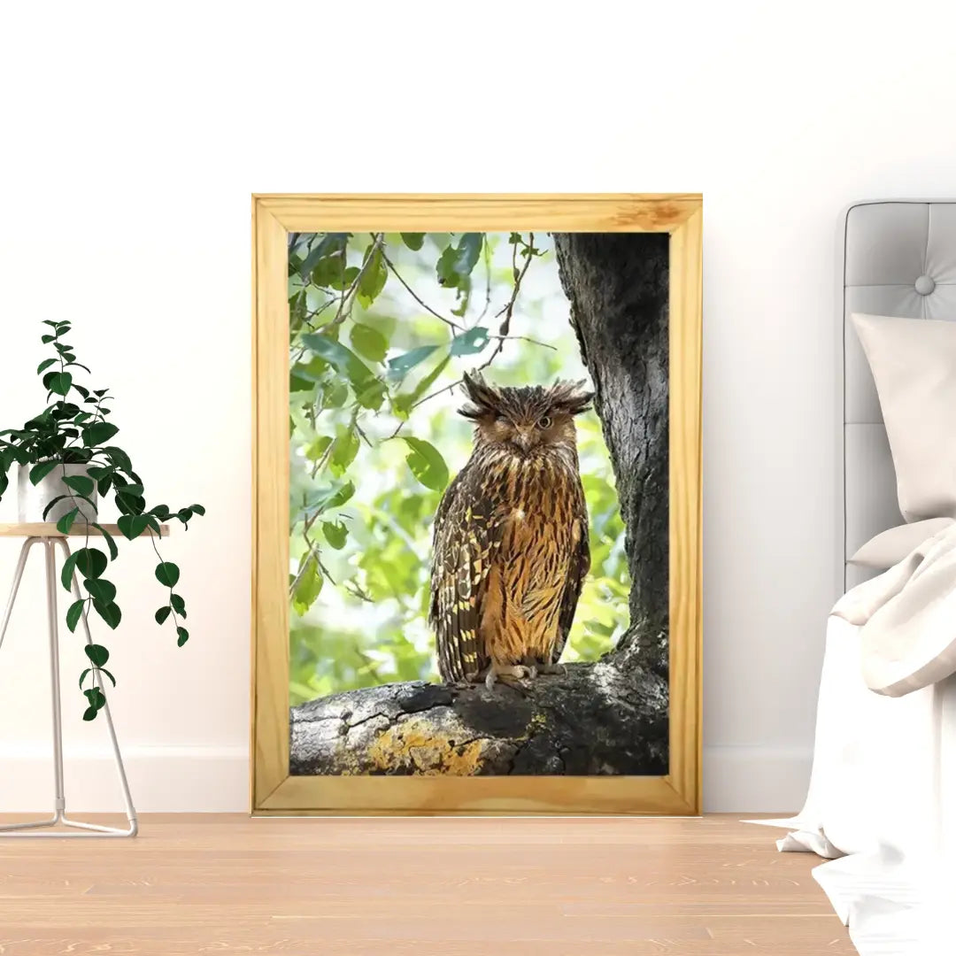 Winking Owl - Kanha National park Framed Owl Bird Photograph