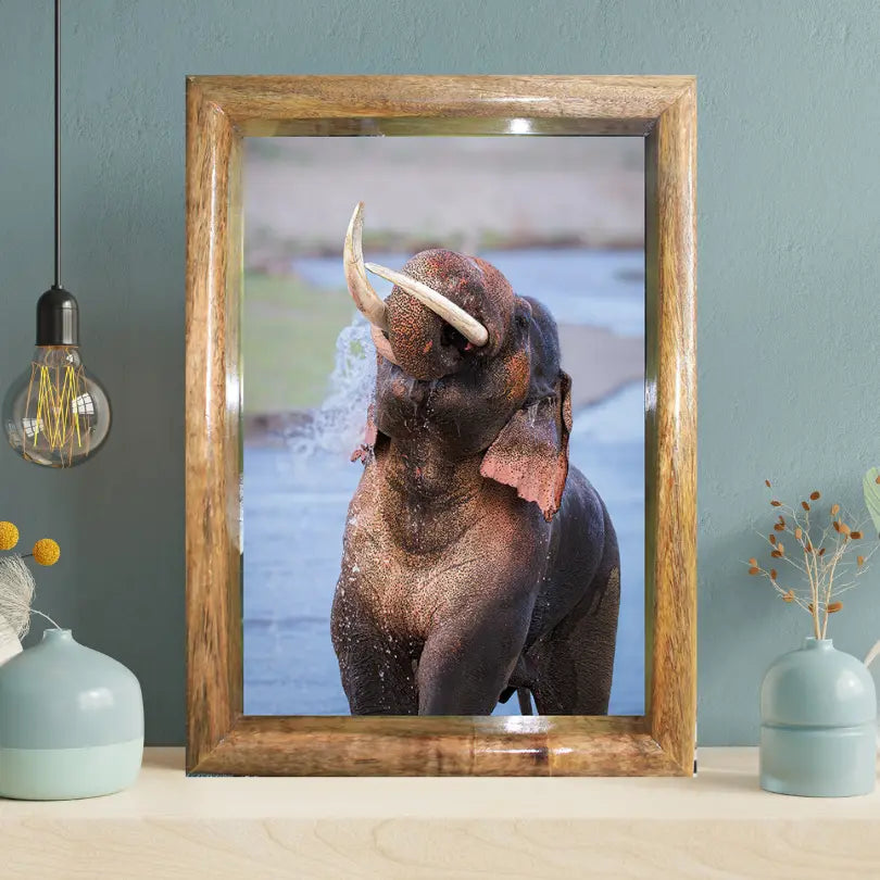 LalKaan – The Ruler of the River – Wildgraphy Fine Art Collection