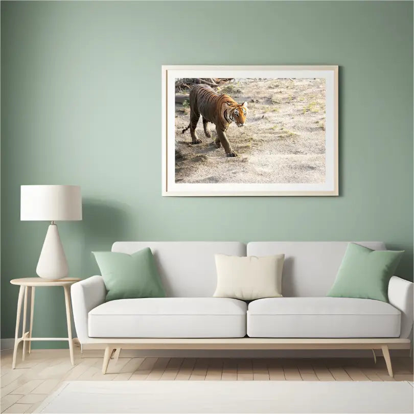 The Crossing — Tiger, Fine Art Photography | Limited Edition