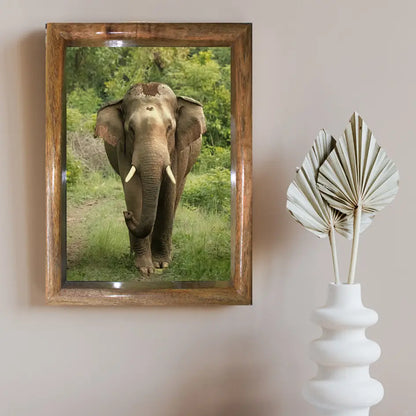Jungle Majesty – Head-On with Jungle Tusker | Most valuable for Art Collectors