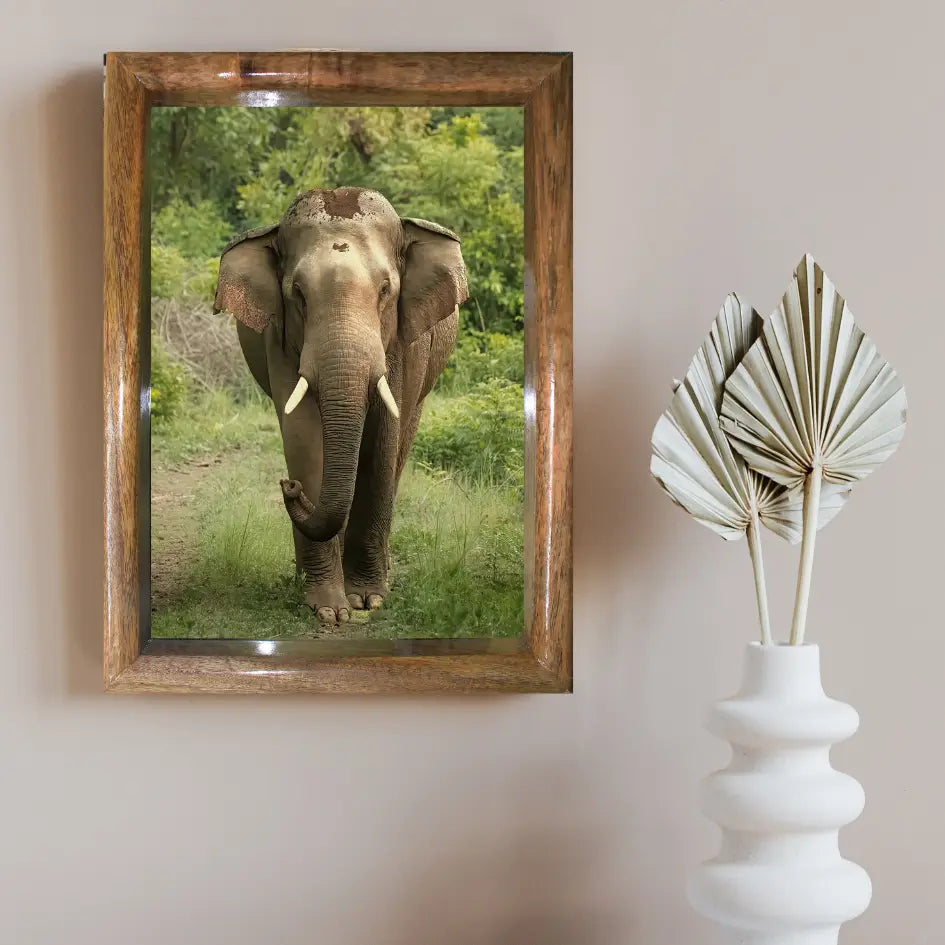 Jungle Majesty – Head-On with Jungle Tusker | Most valuable for Art Collectors