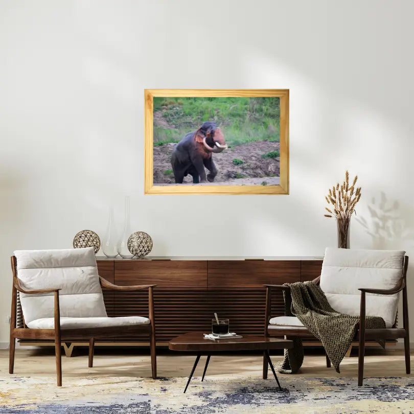 The Gaj — Elephant, Fine Art Photography | Limited Edition