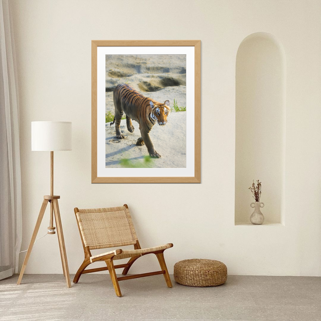 Emergence — Tiger, Fine Art Photography | Limited Edition