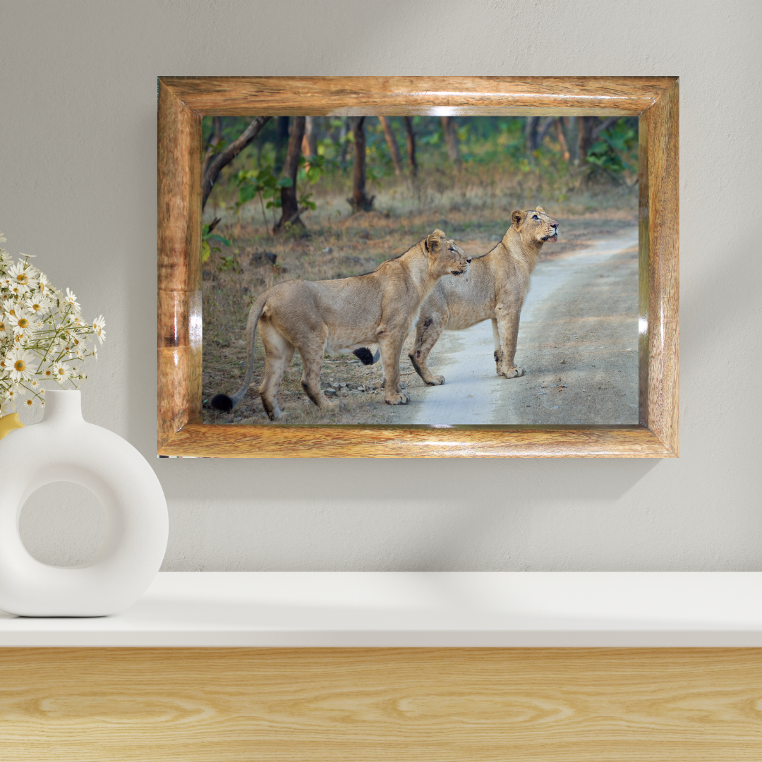 Sisters of the Wild – Lionesses on the Forest Trail | Fine Art Wildlife Print