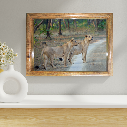 Sisters of the Wild – Lionesses on the Forest Trail | Fine Art Wildlife Print