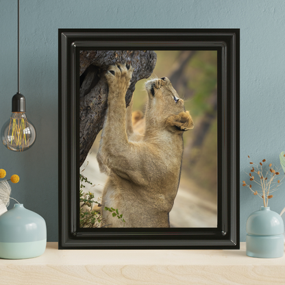 Reaching for the Wild – Lioness Fine Art Wildlife Photography Print