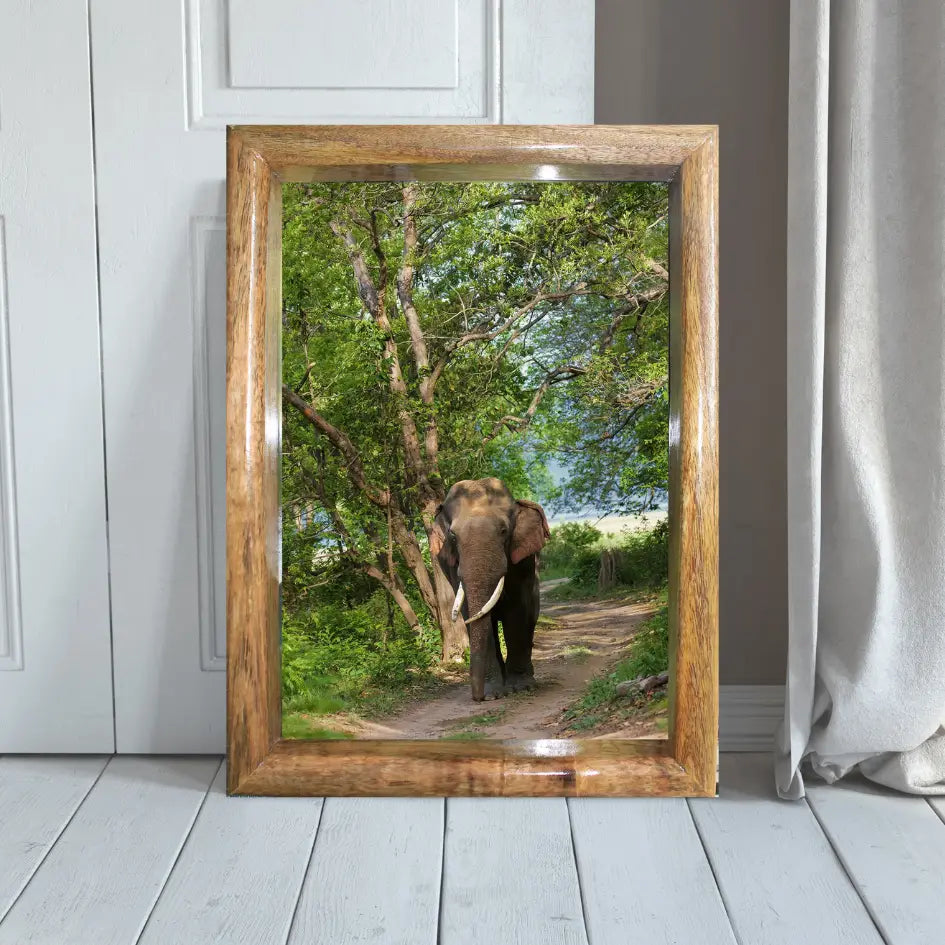Through the Canopy — Elephant, Fine Art Photography | Limited Edition