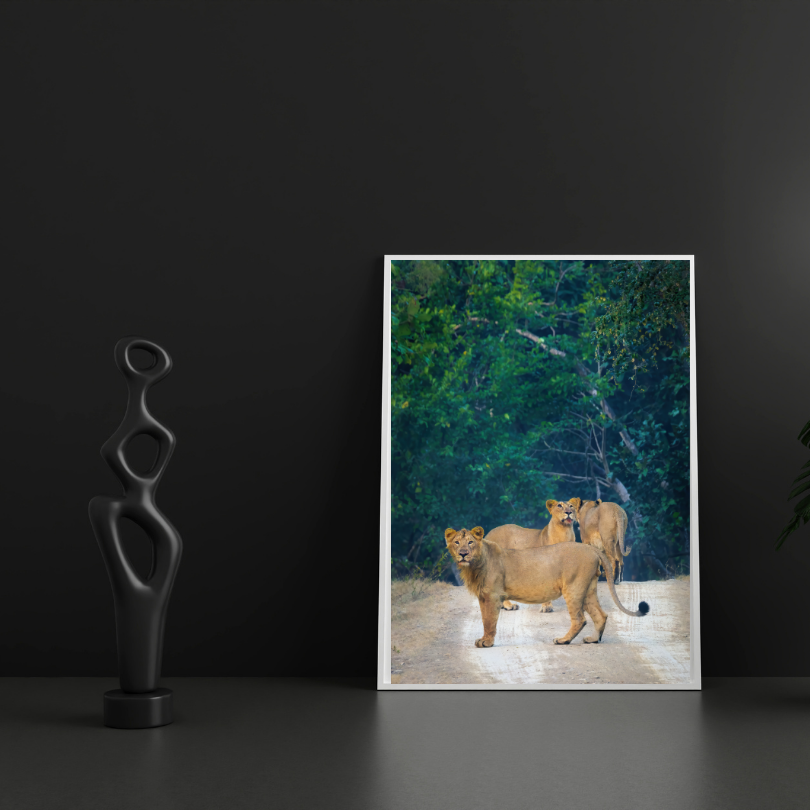 Sentinels of the Jungle – Lion Pride Fine Art Photography