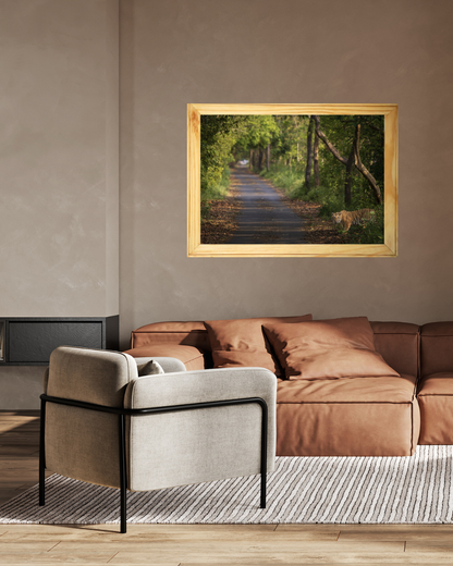 Amber Threshold — Bengal Tiger Fine Art Photography | Limited Edition Archival Print, India