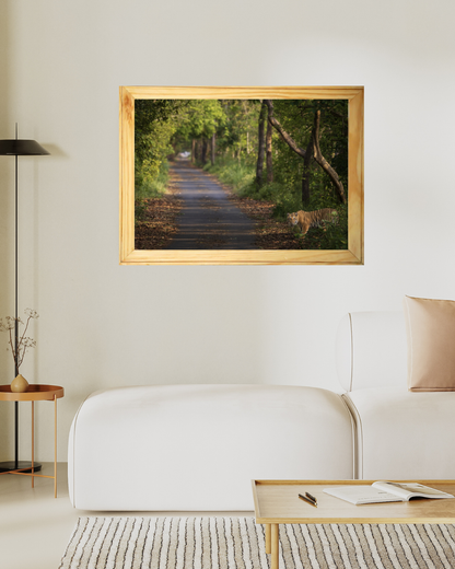 Amber Threshold — Bengal Tiger Fine Art Photography | Limited Edition Archival Print, India