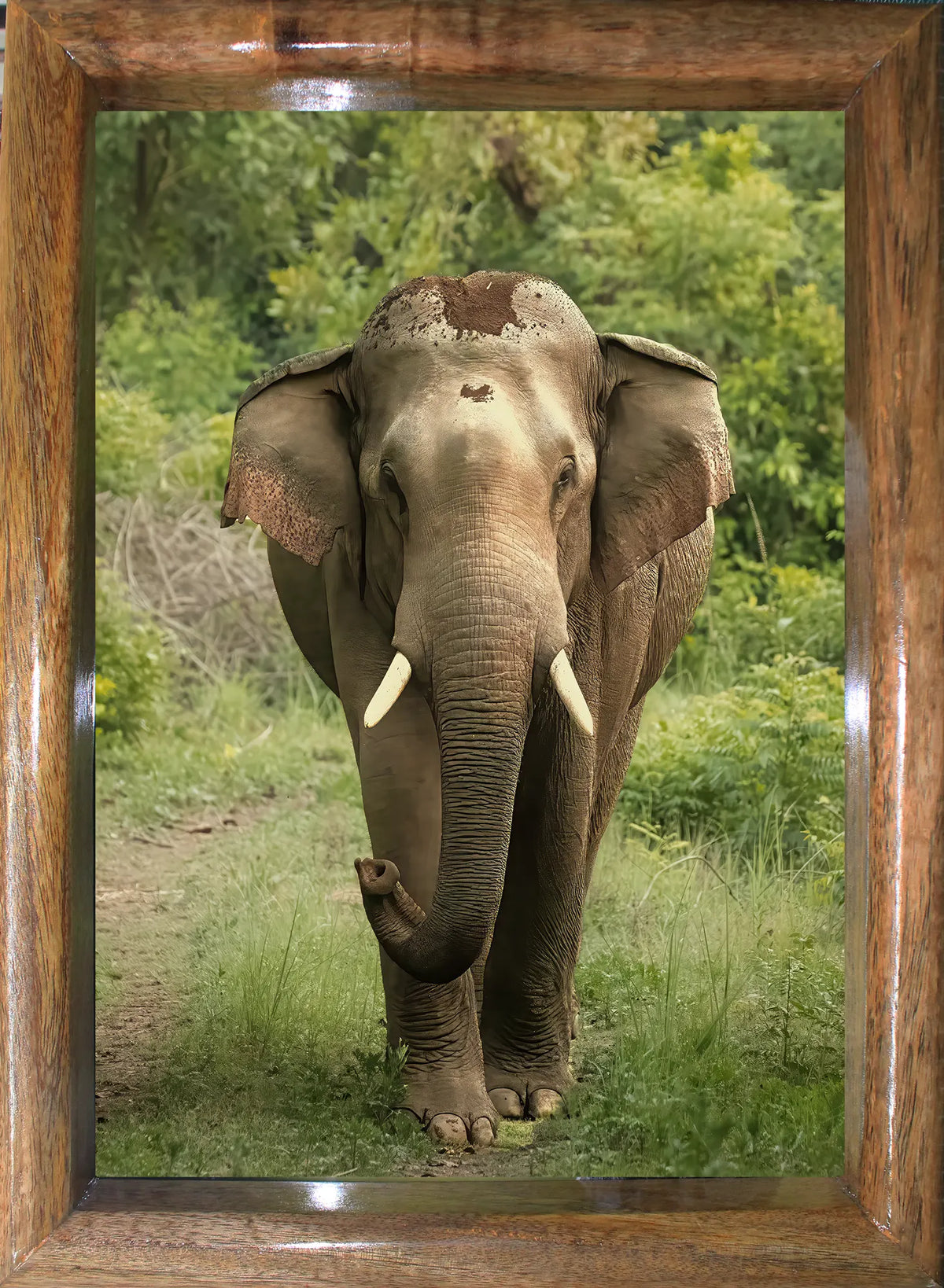 Jungle Majesty – Head-On with Jungle Tusker | Most valuable for Art Collectors